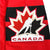 2026 Team Canada Olympics Signed Jersey JSA McDavid Crosby McKinnon Celebrini