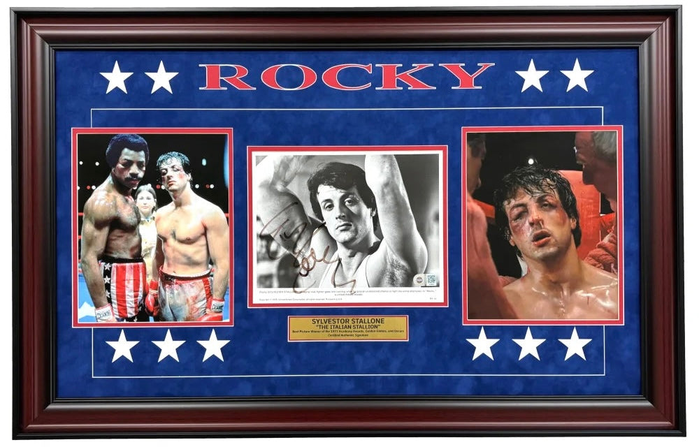 Custom Sports Memorabilia Framing - Las Vegas! Autographed Jerseys Photos Albums & more!