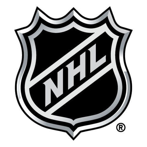 Vegas Golden Knights Puck Hockey is for Everyone