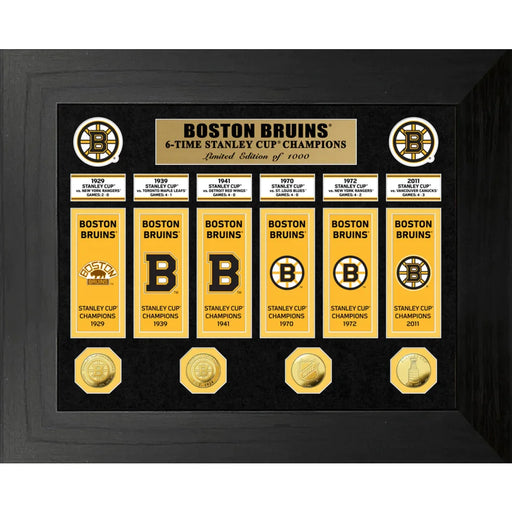Boston Bruins Stanley Cup Banners / Gold Coin Framed Collage