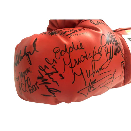 Boxing Legends Multi Signed Glove JSA COA Mosley Vargas Carbajal Mercer Jack + 7