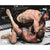 Carlos Condit Autographed 8x10 Photo JSA COA UFC Signed Natural Killer Armbar