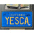 Cheech & Chong Signed ’YESCA’ Movie Car License Plate Framed Collage BAS Auto