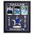 Cowboys Texas Stadium Authentic Game Used End Zone Turf COA Collage #D/25 Dallas