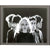 Debbie Harry Signed Cut Framed Photo Collage Beckett COA Blondie Autographed Singer