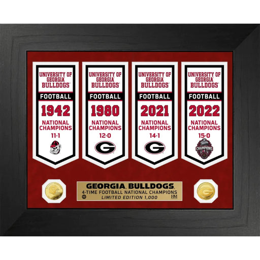 Georgia Bulldogs NCAA Football National Championship Banner / Gold Coin Framed Collage