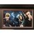 ’Harry Potter’ Flying Movie Car License Plate Framed Collage Chamber of Secrets Daniel Radcliffe