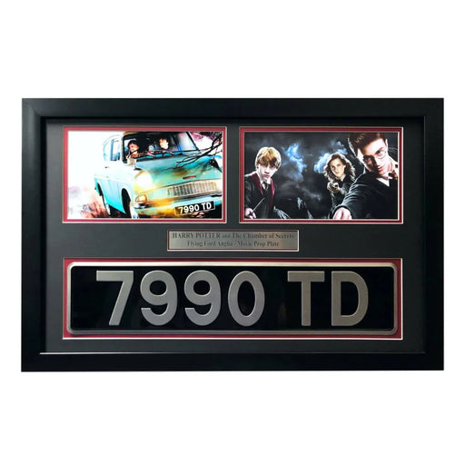 ’Harry Potter’ Flying Movie Car License Plate Framed Collage Chamber of Secrets Daniel Radcliffe