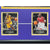 Kobe Bryant Final Lakers Game Used Authentic Confetti & Season Ticket Collage Framed #D/248