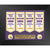 Louisiana State Tigers LSU NCAA Football National Championship Banner / Gold Coin Framed Collage