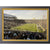 Notre Dame Fighting Irish Fan License Plate Framed Collage Memorabilia