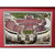 Ohio State Buckeyes Fan License Plate Framed Collage Memorabilia