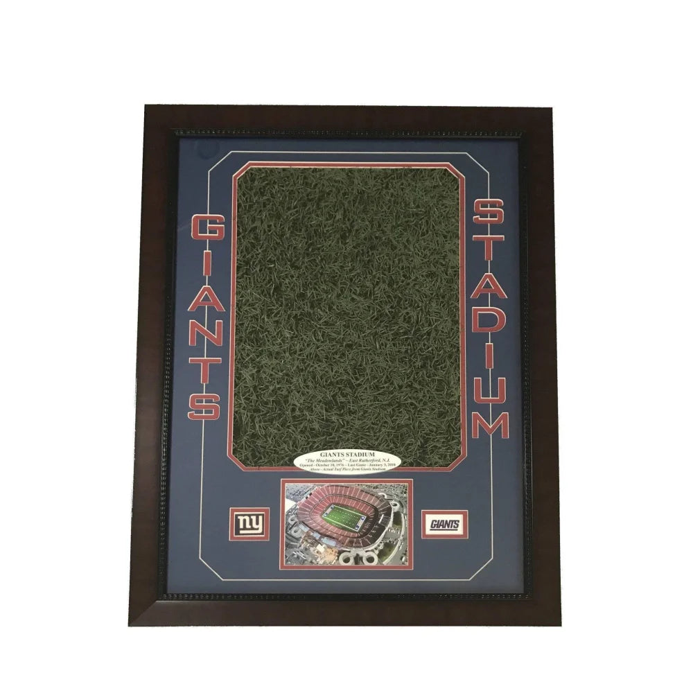 Original Giants Stadium Game Used Oversize Turf Collage #D/5 NY Frame