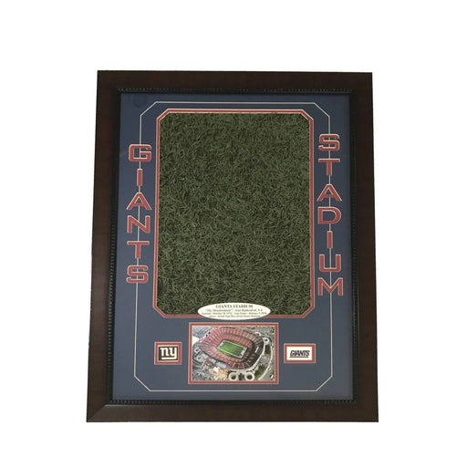 Original Giants Stadium Game Used Oversize Turf Collage #D/5 NY Frame