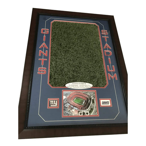 Original Giants Stadium Game Used Oversize Turf Collage #D/5 NY Frame