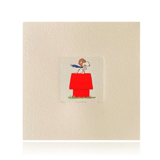 Snoopy Artwork Sowa & Reiser #D/500 Disney Hand Painted Peanuts Charlie Brown