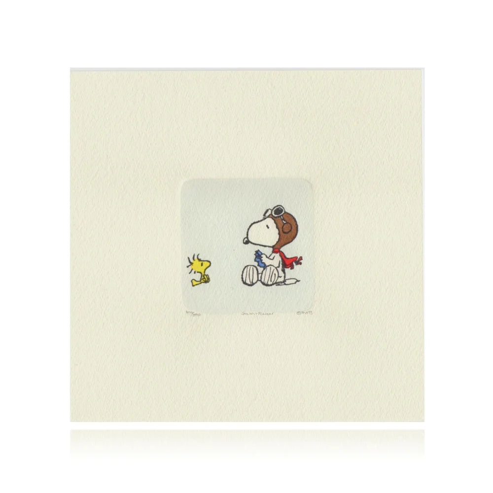 Snoopy & Woodstock Artwork Sowa Reiser #D/500 Hand Painted Schulz Peanuts Flying