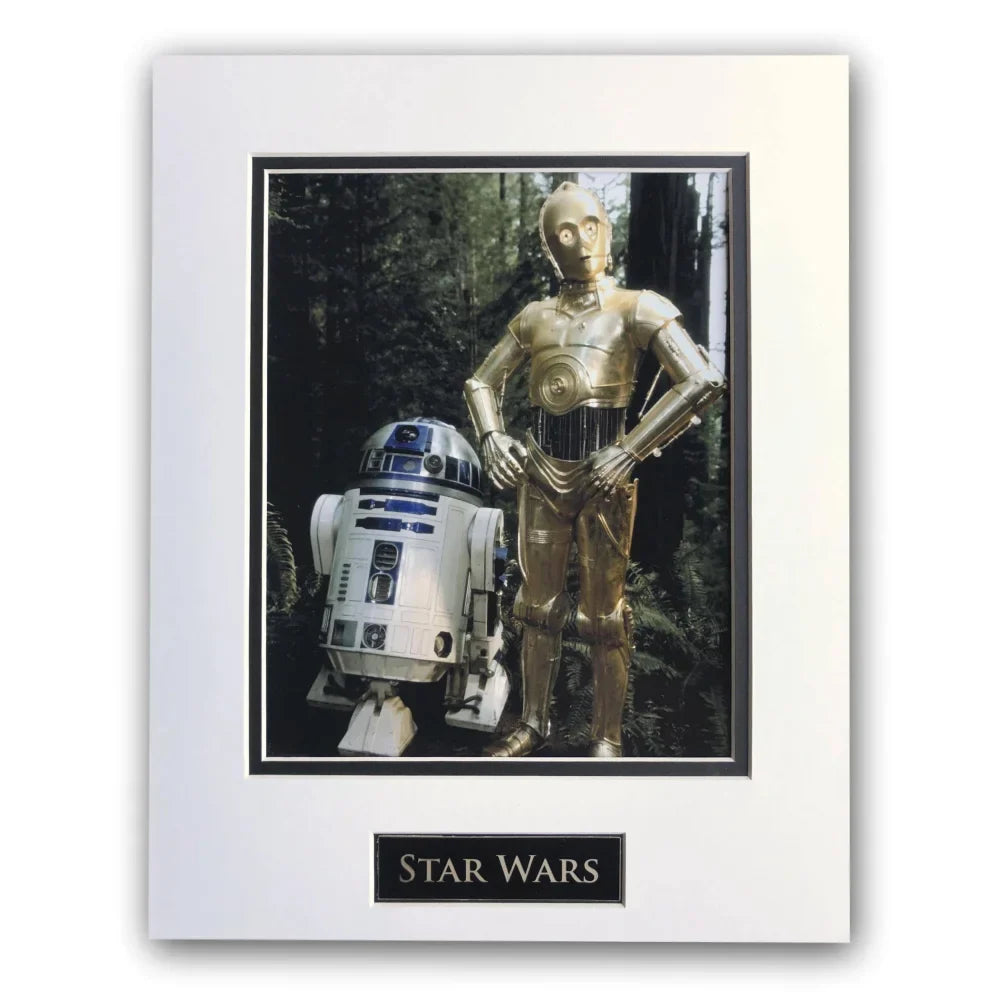 Star Wars - R2-D2 C-3PO Matted Licensed 8X10 Photo For Frame 11X14 Return Of The Jedi