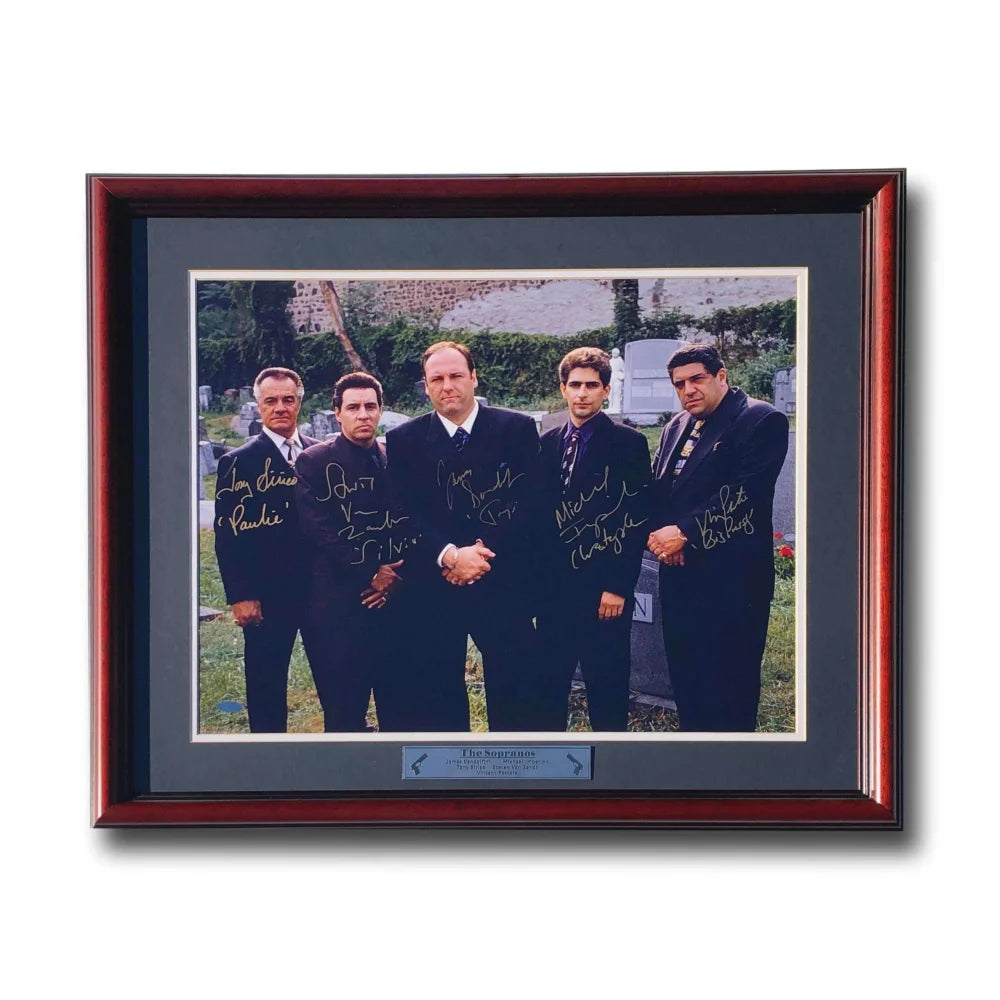 The Sopranos Cast Signed 16X20 Photo Framed Steiner COA Autograph Gandolfini + 4