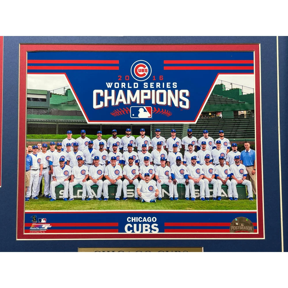 Chicago Cubs 2016 MLB World Series Champions Black Framed Champions Logo  Jersey Display Case