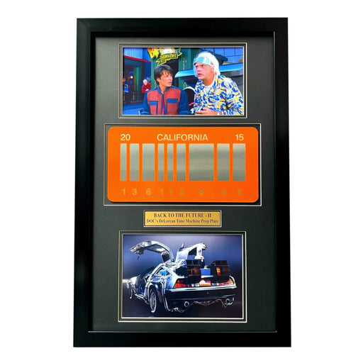 Back To The Future 2 DeLorean Time Machine 2015 Movie Car License Plate Framed
