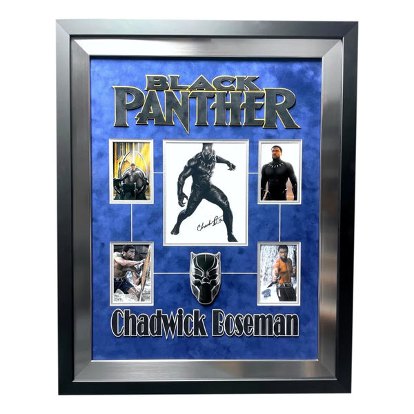 Poster Black Panther - Stance  Wall Art, Gifts & Merchandise