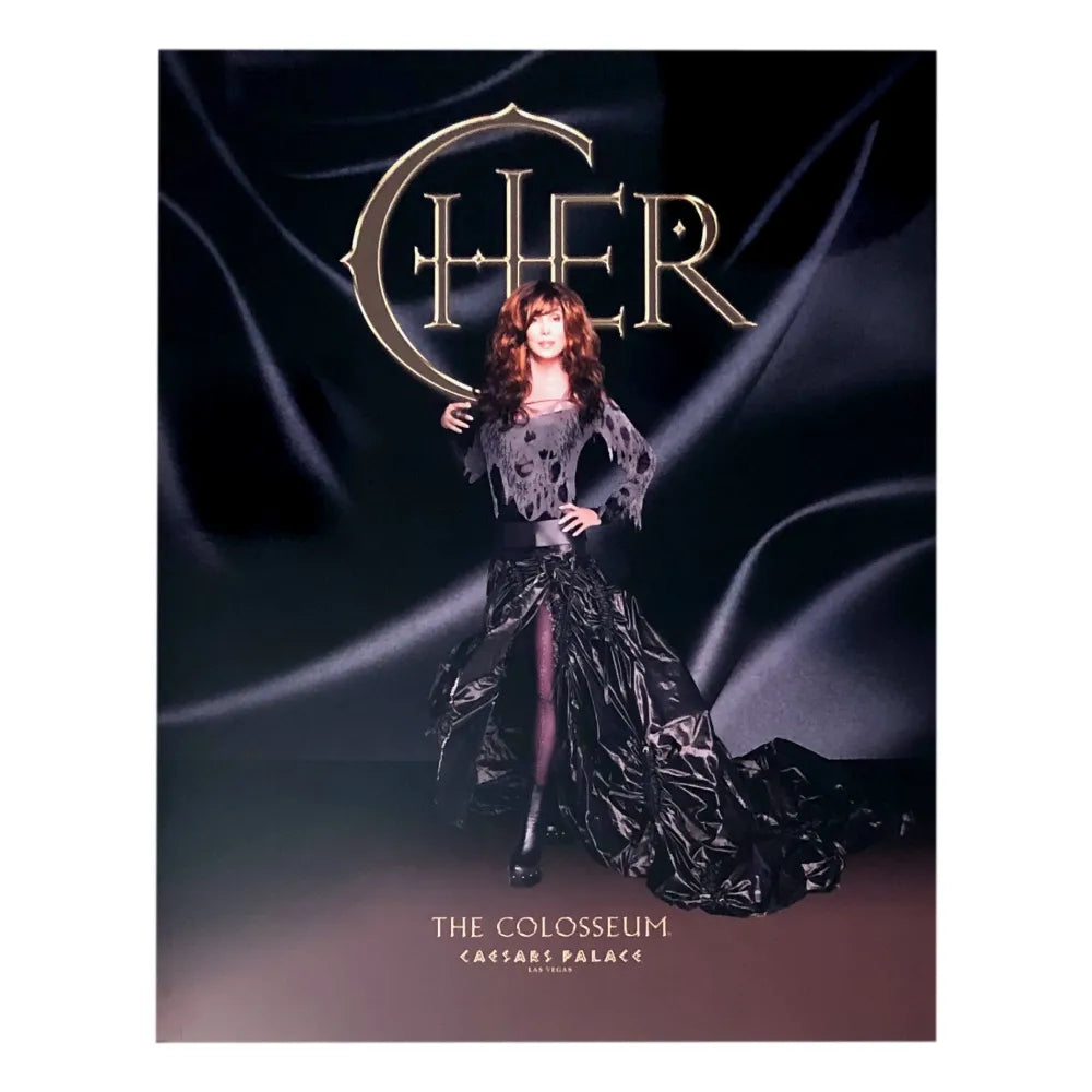 Cher If I Can Turn Back Time 22x28 Poster - COA Owned By Caesars 5/6/2008