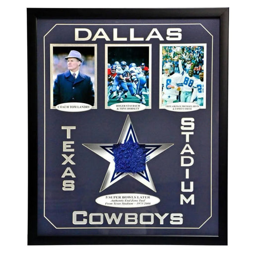 Cowboys Texas Stadium Authentic Game Used End Zone Turf COA Collage #D/25 Dallas
