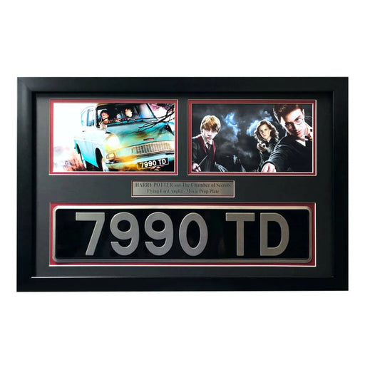Harry Potter Flying Movie Car License Plate Framed Collage Chamber of Secrets
