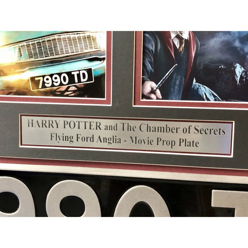 Harry Potter Flying Movie Car License Plate Framed Collage Chamber of Secrets