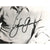 James Garner Signed 8X10 Photo JSA COA Autograph Maverick Rockford Files