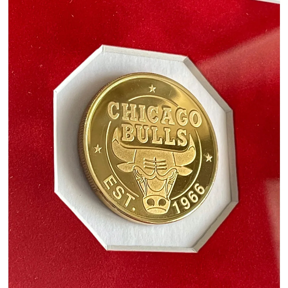 Vintage Gold Champion Michael Jordan Chicago Bulls Basketball
