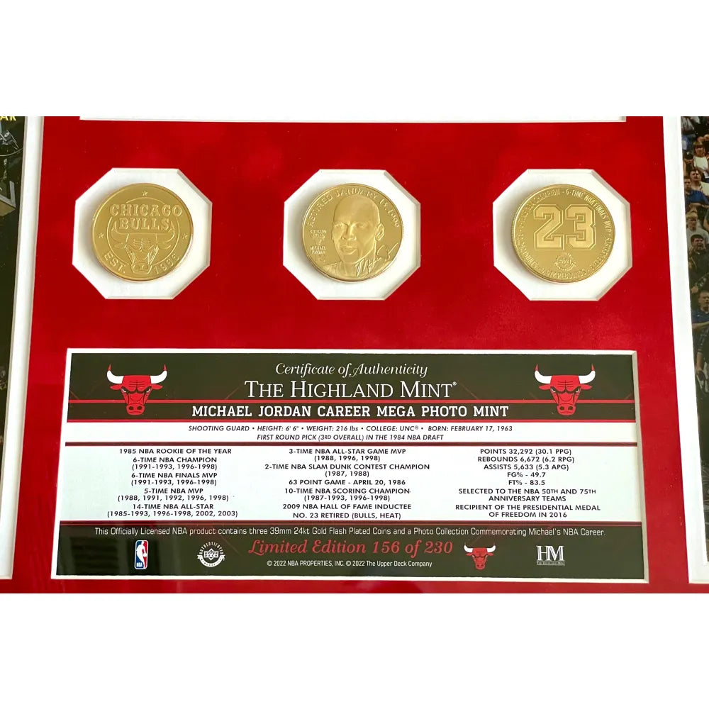 Vintage Champion Michael Jordan #23 Chicago Bulls Gold 50th NBA