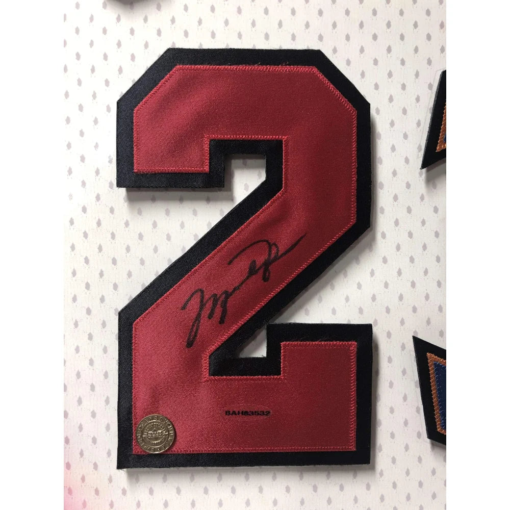 Michael Jordan 35" x 43" Custom Framed Chicago Bulls UNSIGNED  Jersey Display (E)