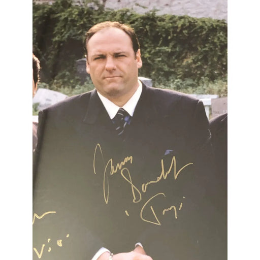 The Sopranos Cast Signed 16X20 Photo Framed Steiner COA Autograph Gandolfini +4