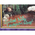 Willy Wonka Kids x5 Signed Framed 11x14 Photo Golden Ticket Paris Themmen COA