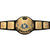 WWF Signed Championship Belt PSA COA Stone Cold Steve Austin Mick Foley Brett